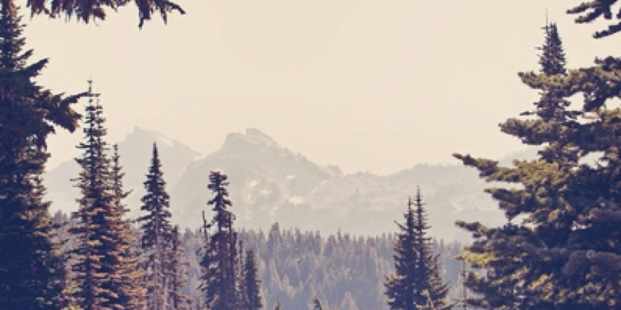 itsalvina's profile banner image