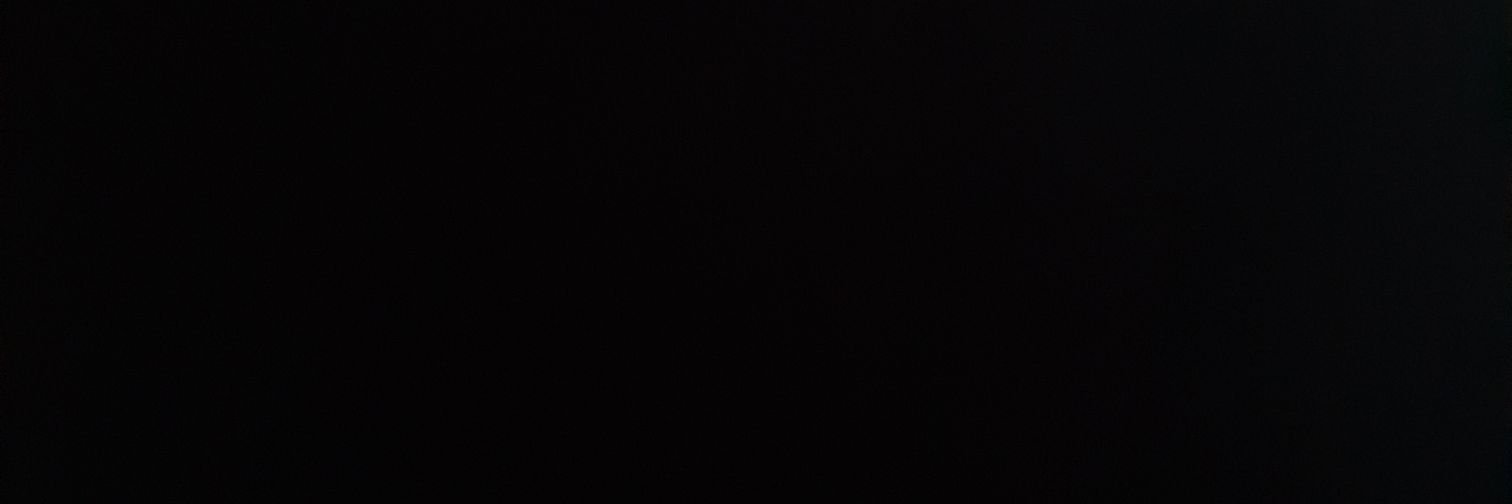 Ines banner