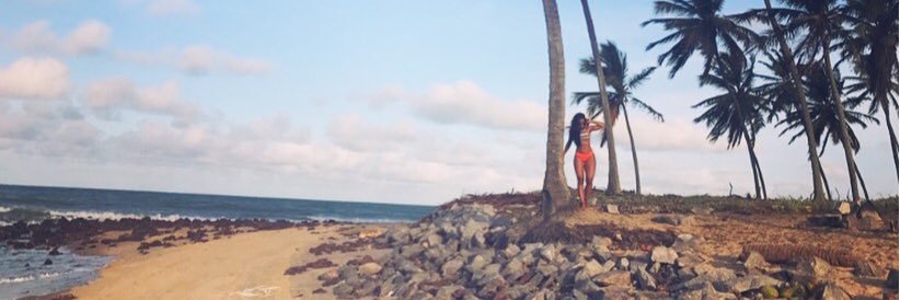 evinha banner