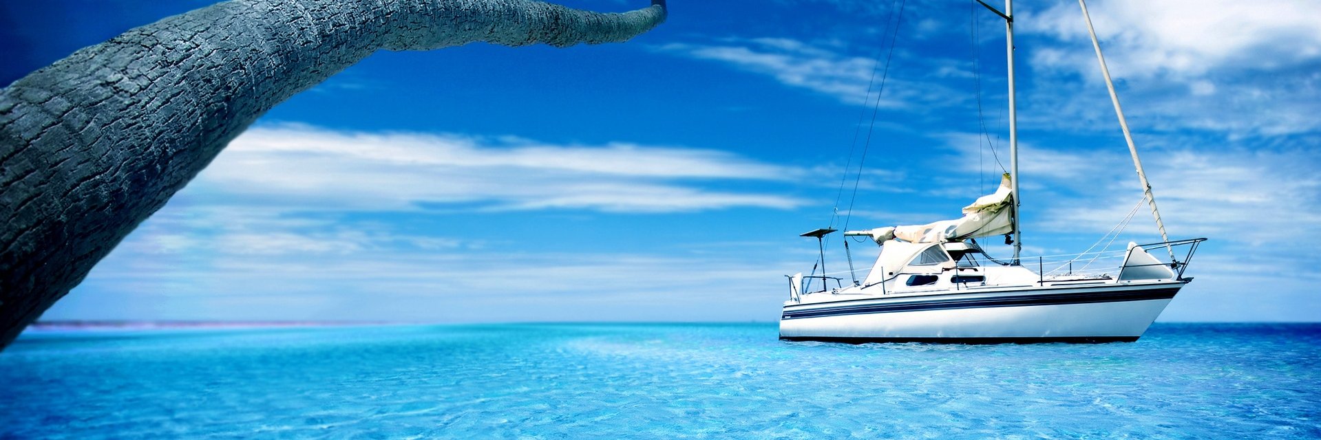 Samuel Gustavo Henrique 🐉 $MON banner