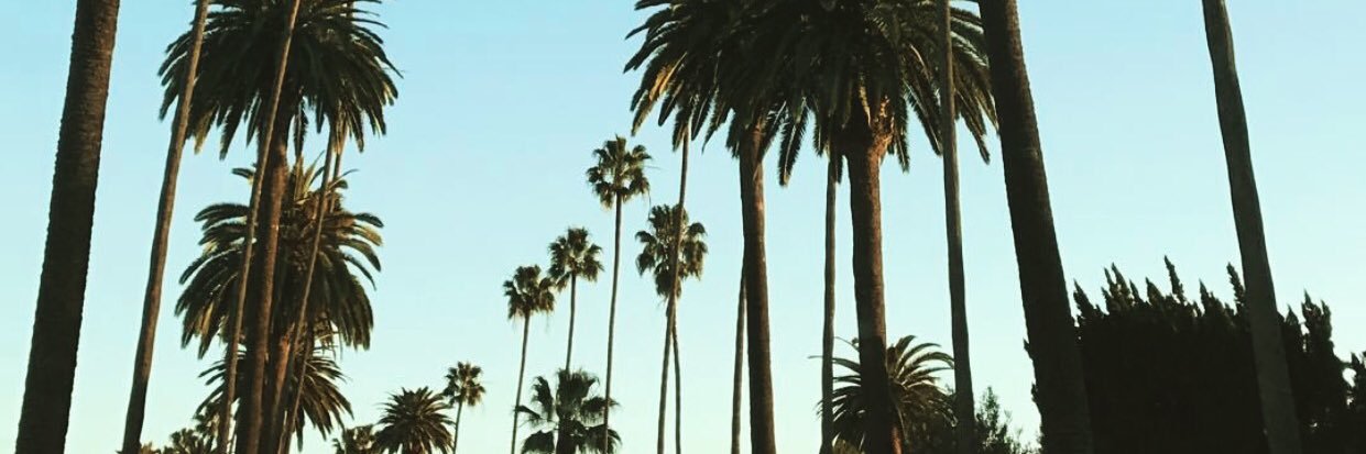 JohnnyPWang's profile banner image
