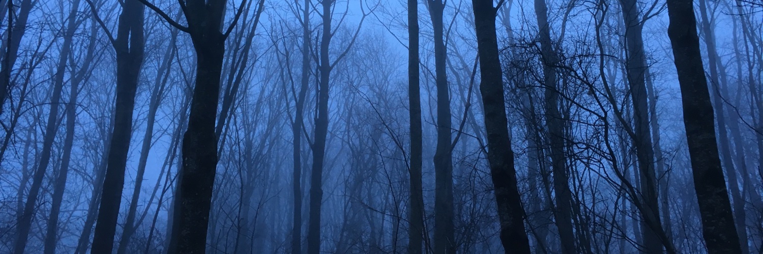 sedremier's profile banner image