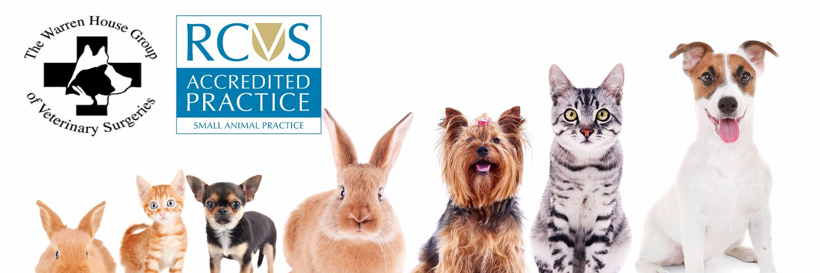 WarrenVets's profile banner image