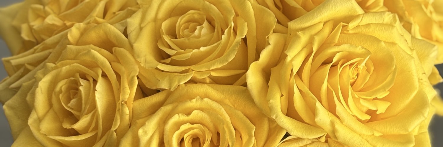 YellowMellowGrL's profile banner image