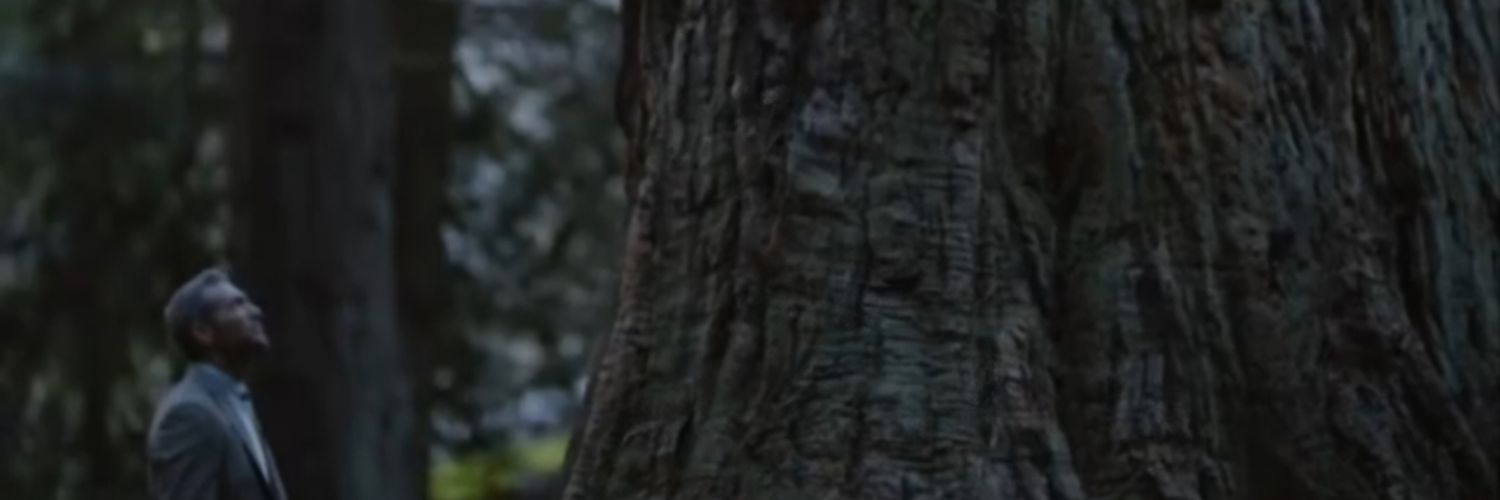 fayzzhr's profile banner image