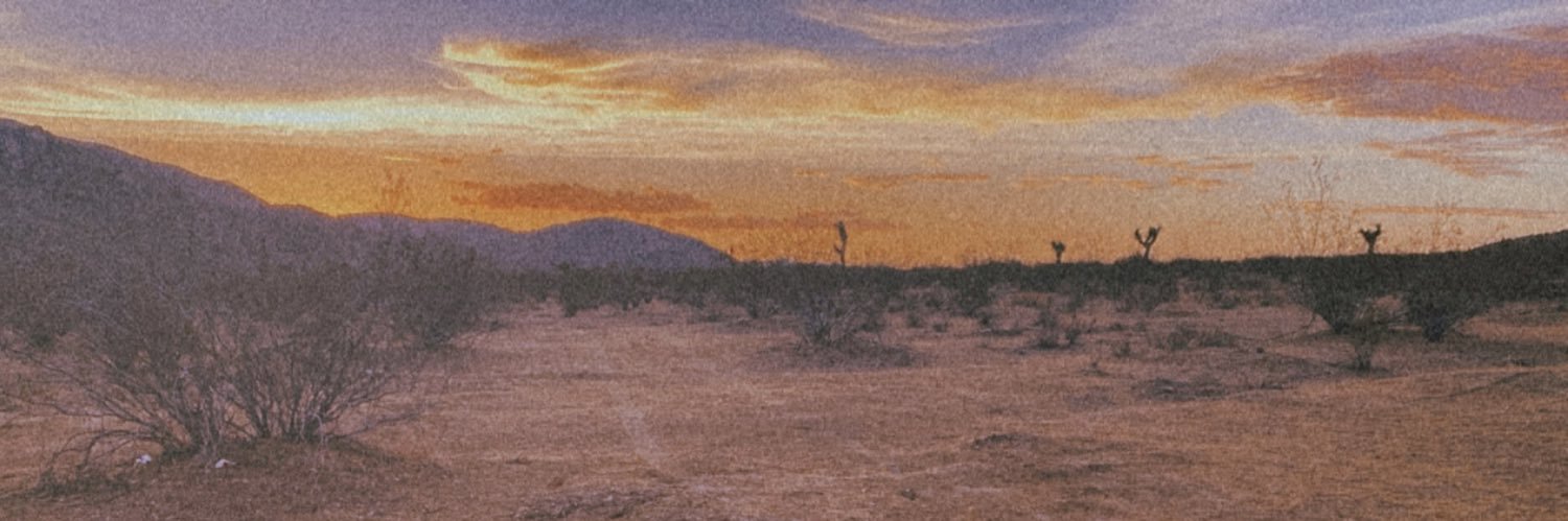 xoxosaladqueen's profile banner image