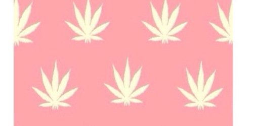 taylorhooper09's profile banner image