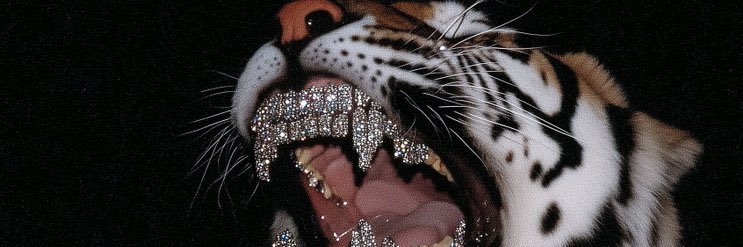 🌊 Tsunami Diaxmond 🌊 banner