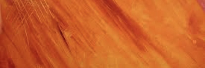 Lexi Keller's banner