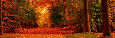 Fischeriiii's profile banner image
