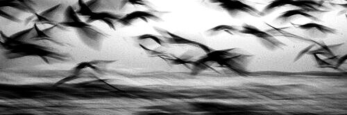 SiKeladi's profile banner image