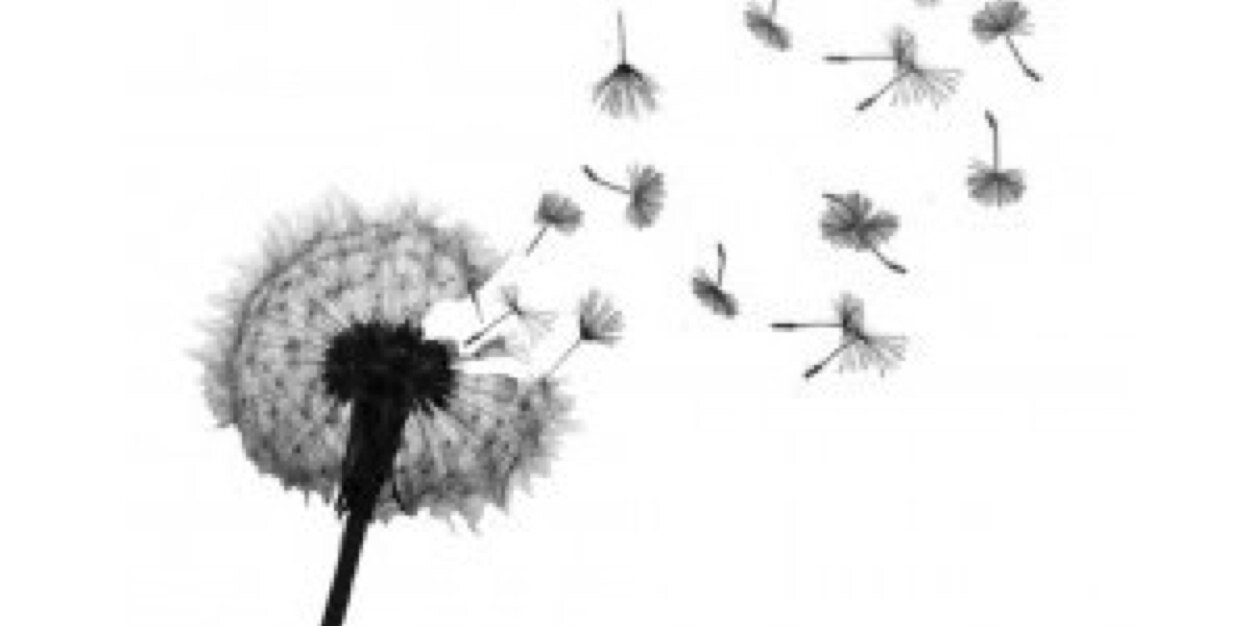 ashlee716's profile banner image