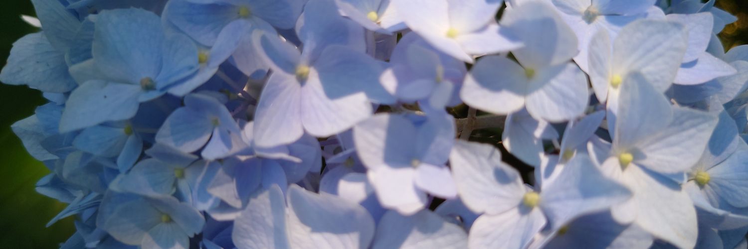 wasetch's profile banner image