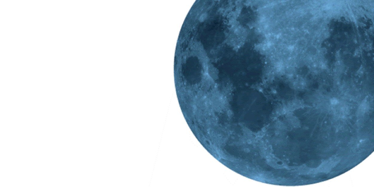 Mickey_Flea's profile banner image