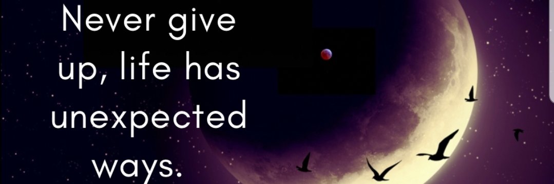 BriktyG's profile banner image