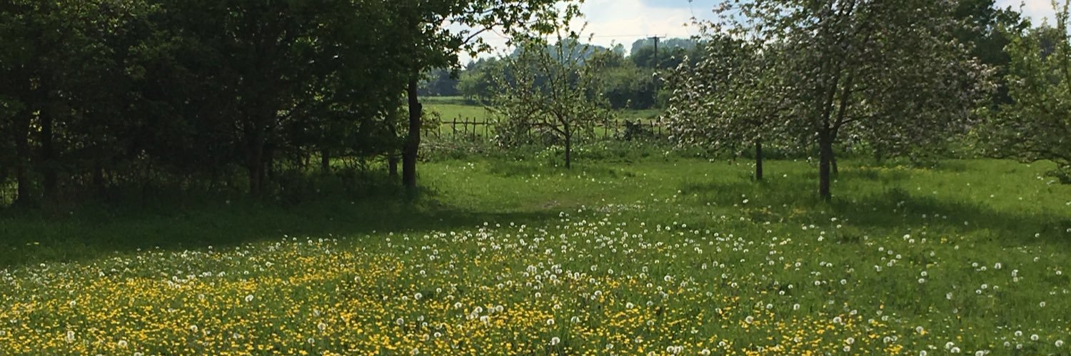 secraythorne's profile banner image