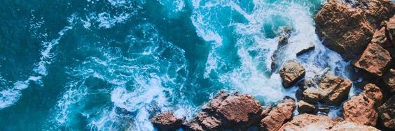 Laura Pummell-Melendez 🌹 banner