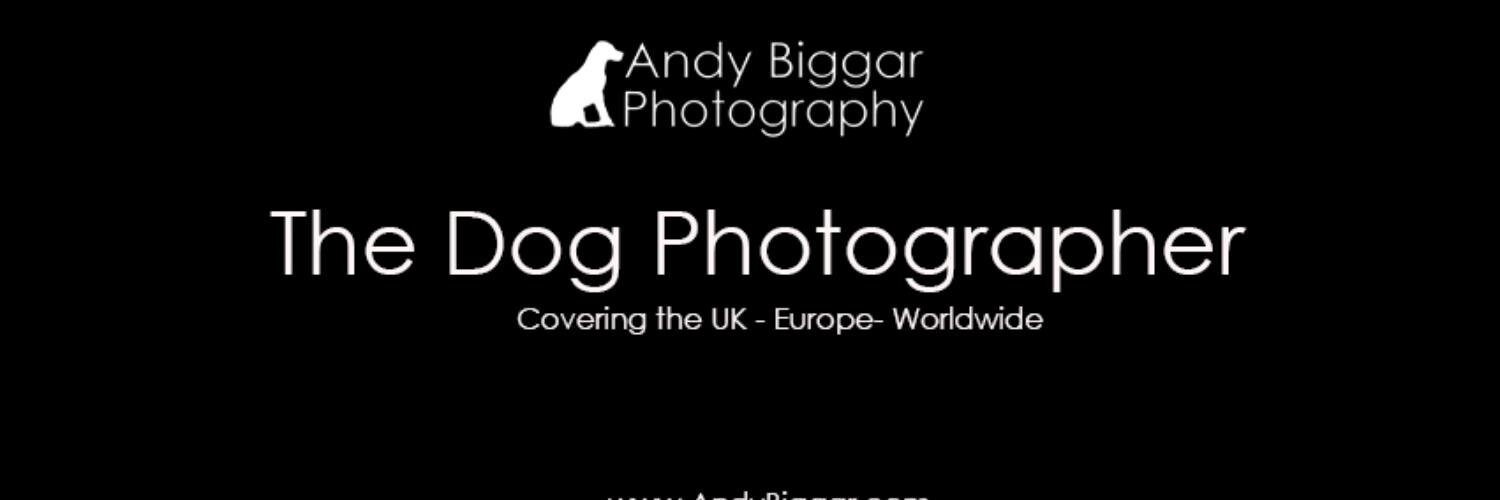 AndyBiggar's profile banner image