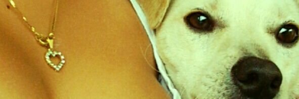 _ameendes's profile banner image