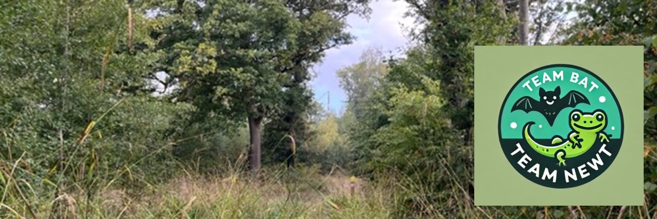 Rosie P 🦇 🦎 🕷️ 🦭 🍃🌳🚲💧's banner