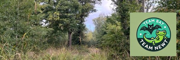 RosieP4 Profile Banner