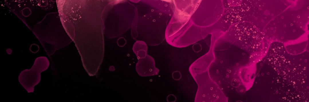 Samara 🇦🇬👩🏽‍💻 banner