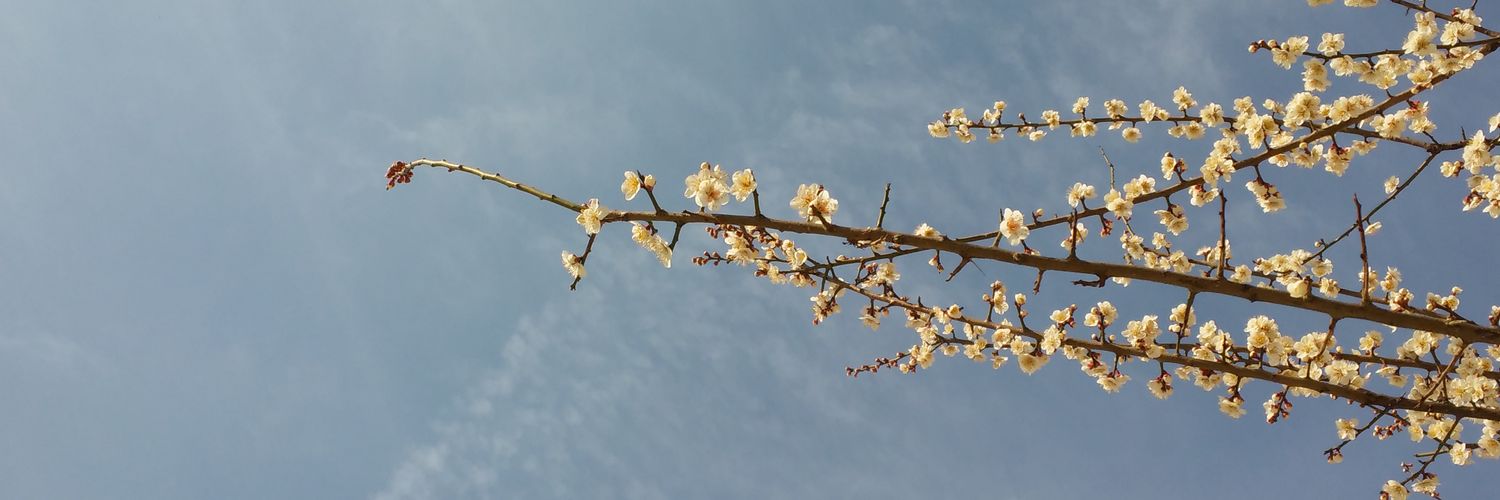 sumin2002's profile banner image