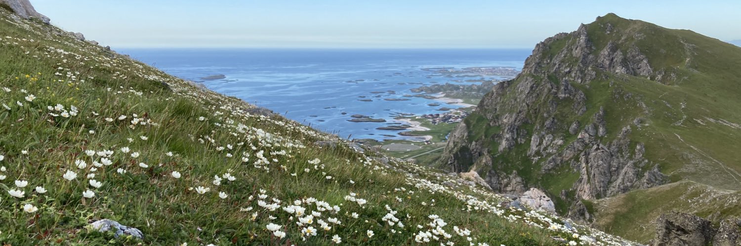 Julia Olsen banner
