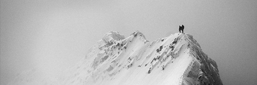 Andrea Gallardo banner