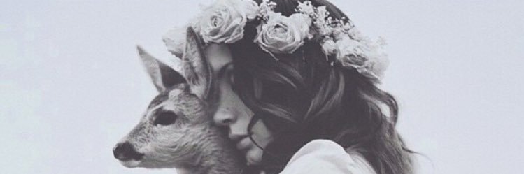noha_s_d's profile banner image