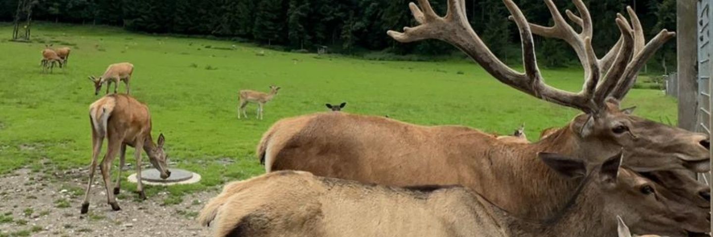 ku_84's profile banner image