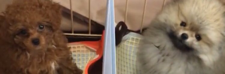 laffy222's profile banner image