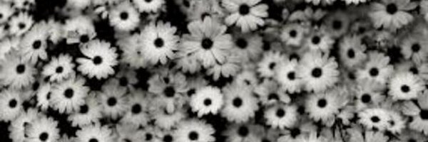 _humxn Profile Banner