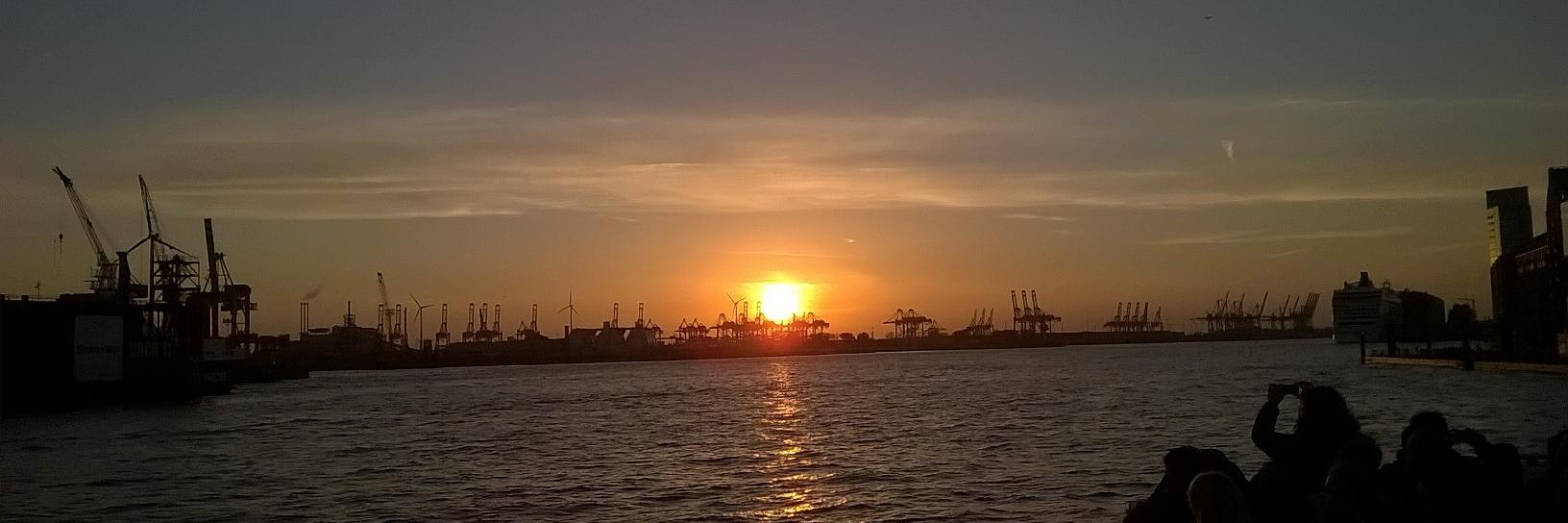 Tobias Langer banner