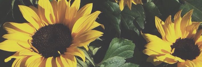 TheRealNy_'s profile banner image
