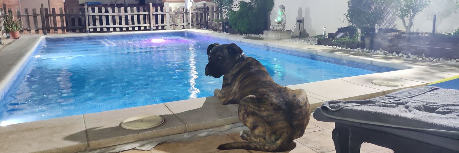 Tchouamavinga banner