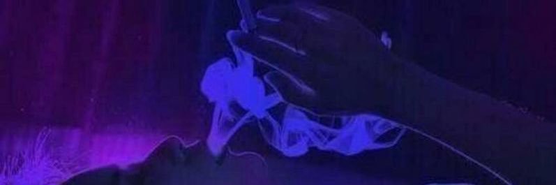 MorganCBB's profile banner image