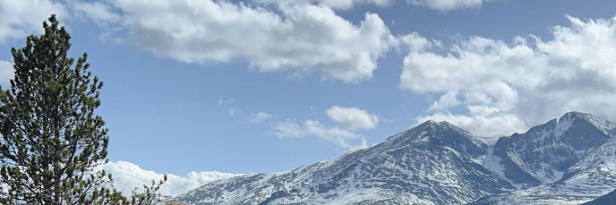 Alexander Hendricks banner