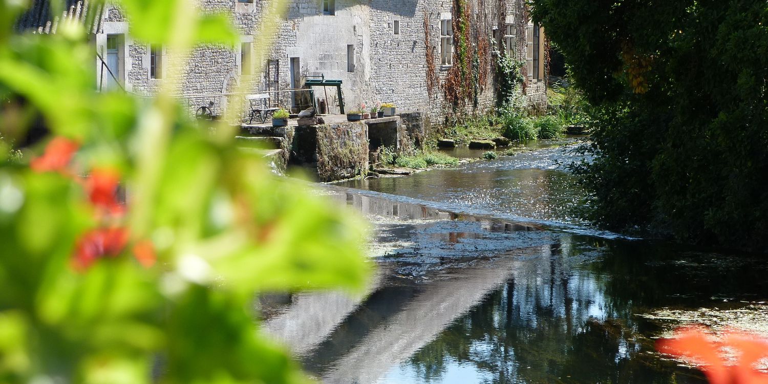 Barbara  Sage banner