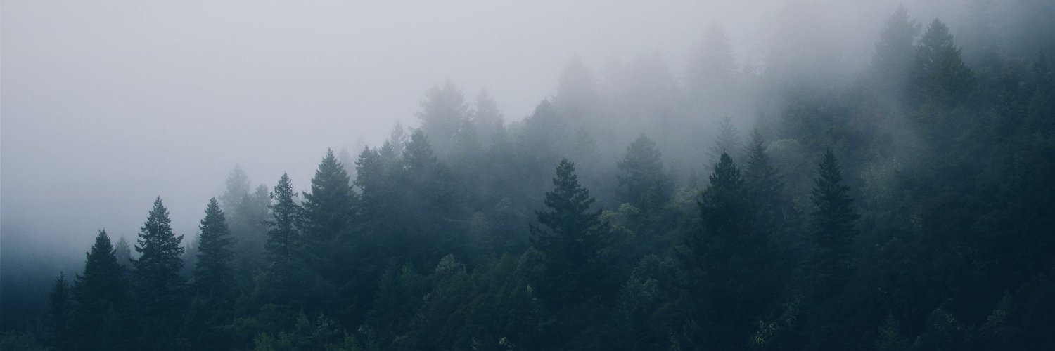 arthurditlef's profile banner image