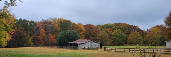 TMcG Profile Banner