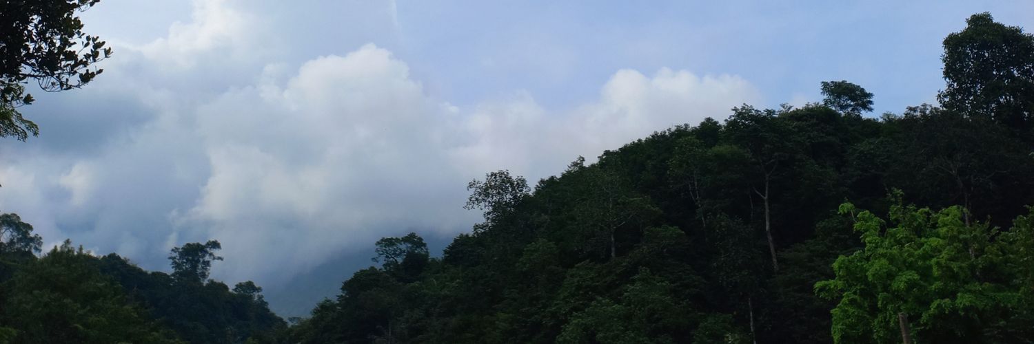 bramaskia's profile banner image