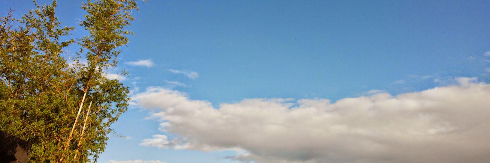 jleomer's profile banner image