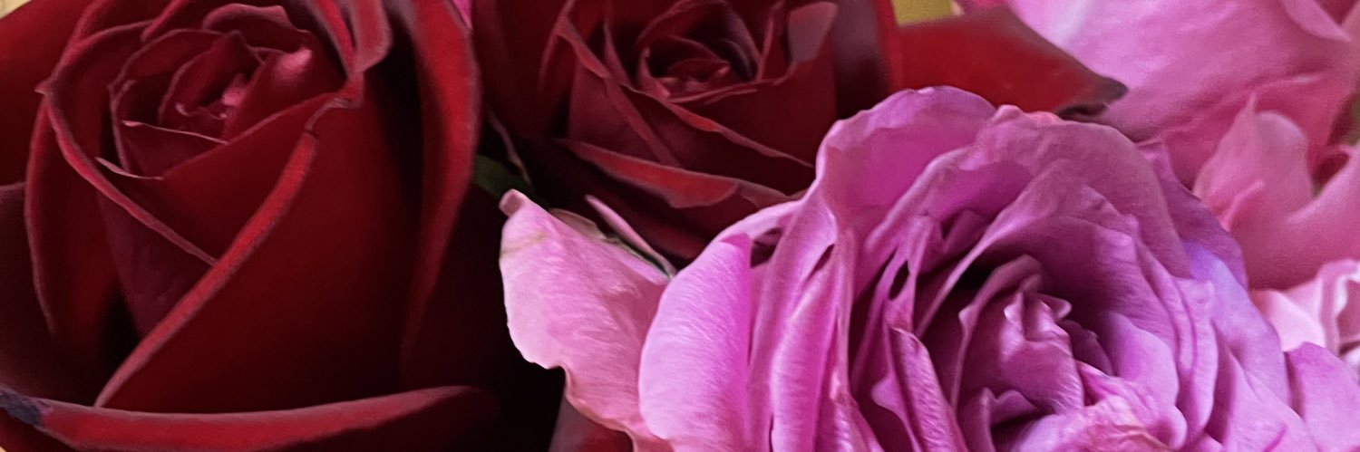 mnrn3's profile banner image