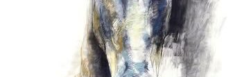 REEMDAMIRI's profile banner image