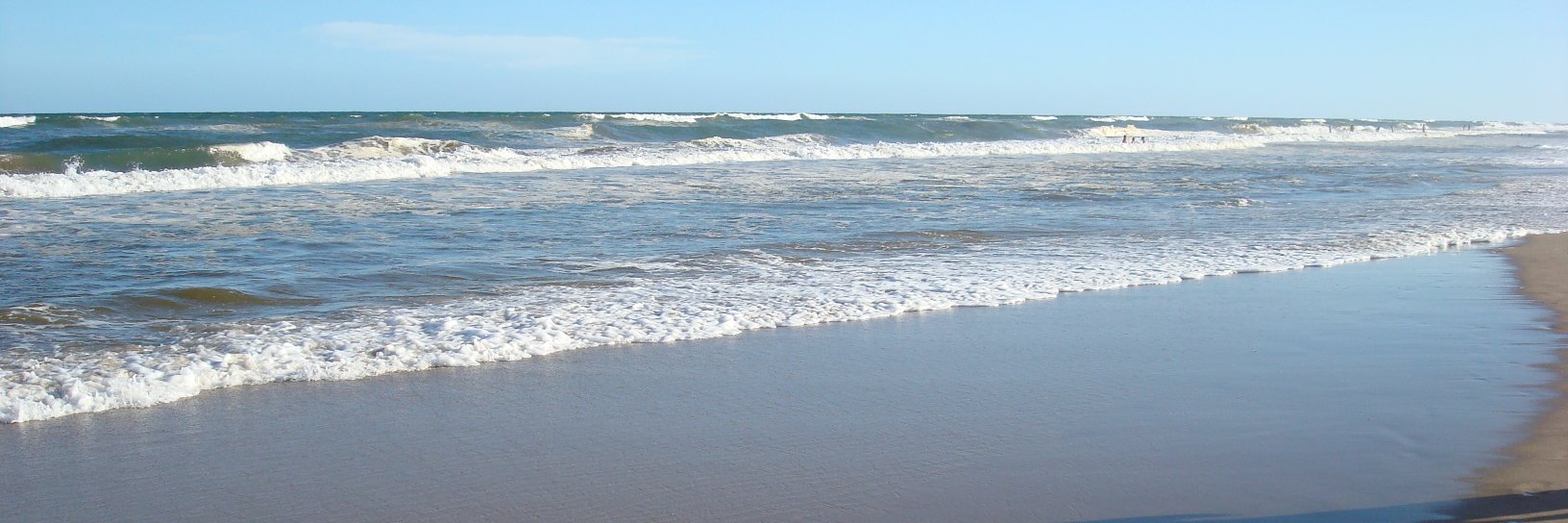 cepeesea's profile banner image