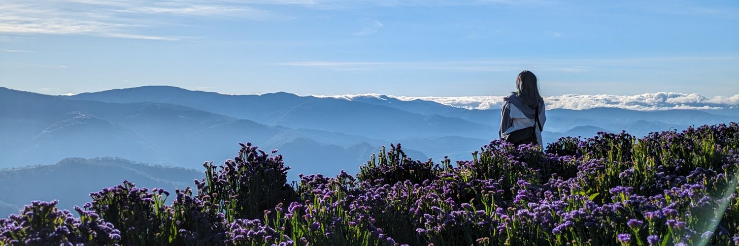 soarrhee's profile banner image