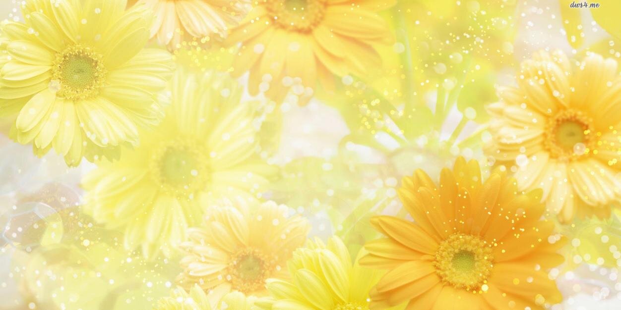 ratumona's profile banner image