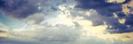 Jenn_Mvlt's profile banner image