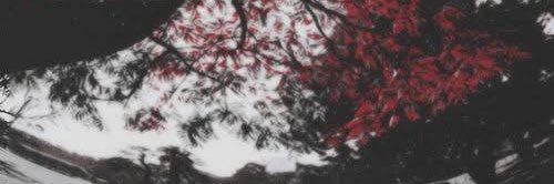 icarusftflicker's profile banner image